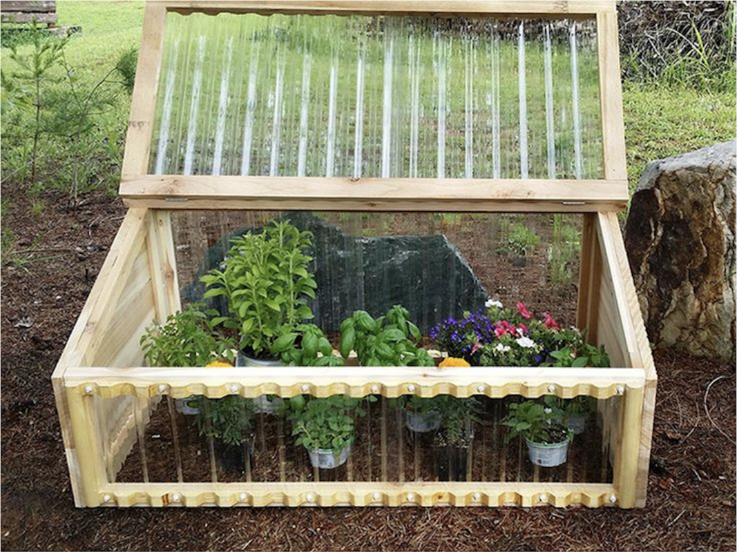An assortment of plants in a DIY planter box
